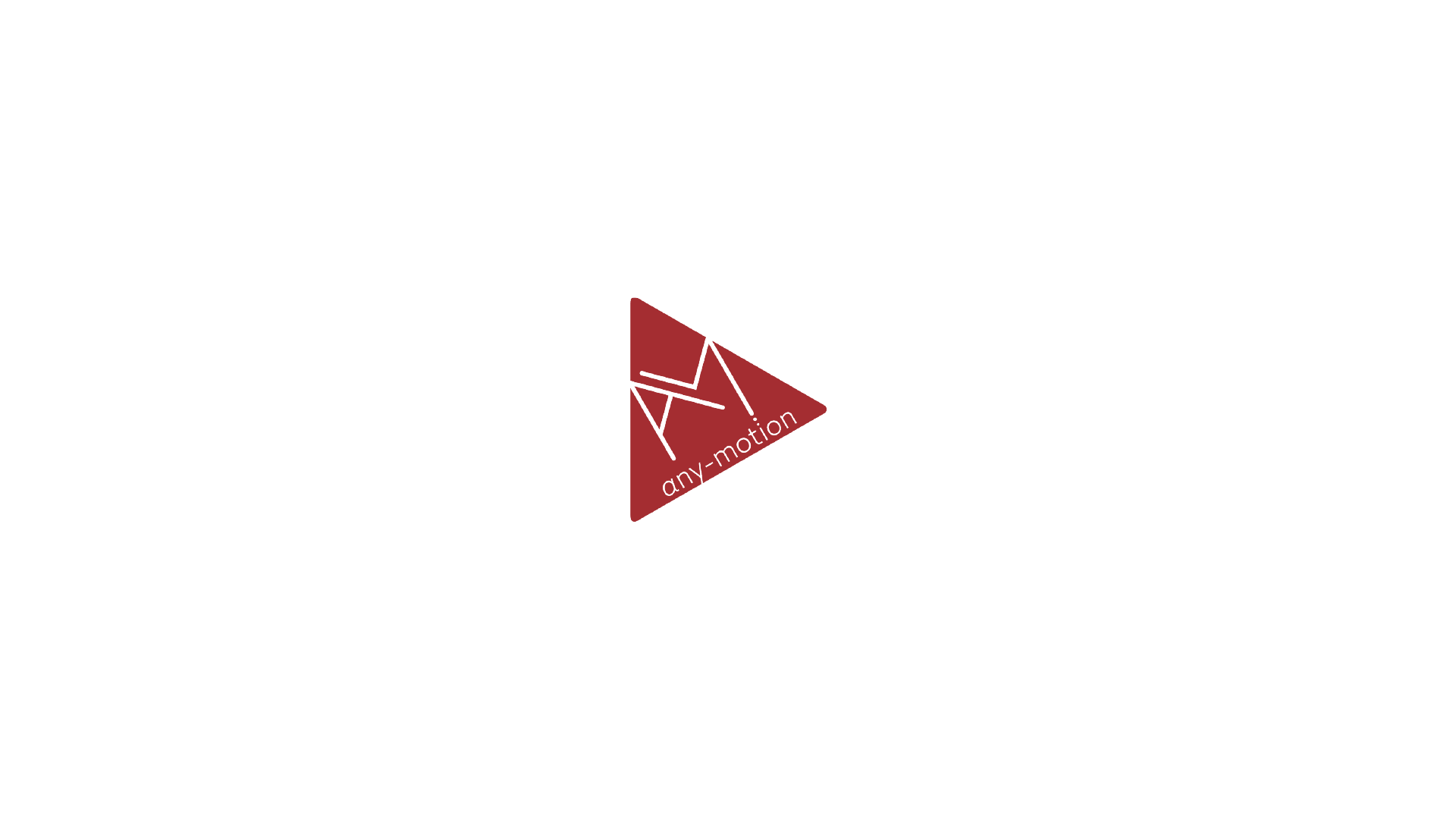 any-motion inc.